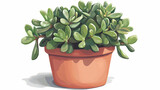 A potted jade plant isolated on white background. [Silicon Wilderness] | Flora Hack | plant breach. Illustration