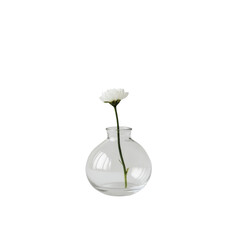 Aufkleber - simple glass vase with single white flower, showcasing elegance and minimalism. clear design highlights beauty of flower, creating serene atmosphere