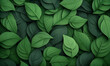 © sakulkarn - Lush Green Leaves Background Texture for Nature and Botany Themes