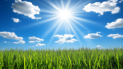 Wall Mural - Bright sunlight shines over lush green field under clear blue sky, creating vibrant and cheerful atmosphere. fluffy clouds add depth to serene landscape, evoking sense of peace and tranquility