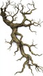 © EpicFade - Abstract Bare Tree Illustration Against White Backdrop Artistic Rendering Detailed Branches and Trunk Overhead View Isolated Design Element