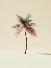 Poster - Minimalist Eco-Narrative Climate-Conscious Palm Tree for Sustainable Design, Environmental Branding and Wellness Storytelling