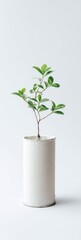 Poster - Minimalist Eco-Living Zero-Waste Urban Plant Styling with Circular Design Container - Sustainable Lifestyle Branding for Conscious Consumers