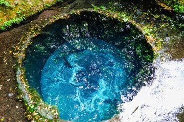Aufkleber - 静岡県三島市の柿田川湧水群