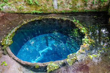 Aufkleber - 静岡県三島市の柿田川湧水群