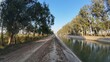 © sumit - Irrigation Canal Lined with Tall Trees on Both Sides in Rural Landscape under Clear Sky
