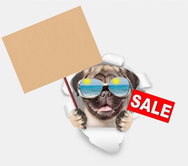 Leinwandbilder - Funny Pug puppy mirrored wearing sunglasses looking through the hole in white paper and showing signboard with labeled 