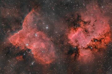 Wall Mural - detailed widefield view of the soul nebula and heart nebula complex in cassiopeia deep space astroph