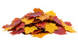 © Link Parker - Pile of autumn orange leaves, isolated background