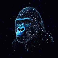 Wall Mural - digital wireframe gorilla head composed of glowing blue network nodes and lines on dark background w
