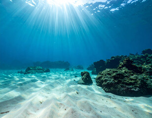 Wall Mural - beneath surface, serene underwater landscape reveals soft sand patterns and rocky formations illumin