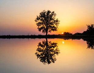 Wall Mural - serene sunset casts warm glow over tranquil landscape, featuring solitary tree reflected in calm wat