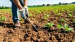 © ArtChery - Garden tools in action with only gardener’s hands visible