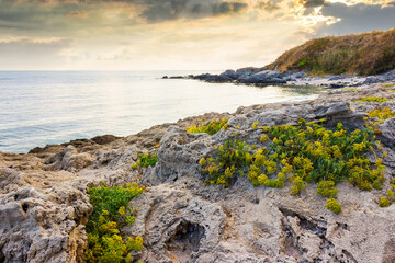 Wall Mural - black sea nature in summer. travel background with calm water an rock on the beach in morning light.