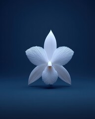 Aufkleber - Elegant white orchid blossom on dark blue background studio shot minimalist botanical beauty delicate petals floral design serene nature