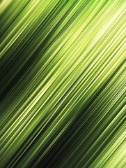 Wall Mural - abstract green lines background with diagonal motion blur effect and gradient color scheme for moder