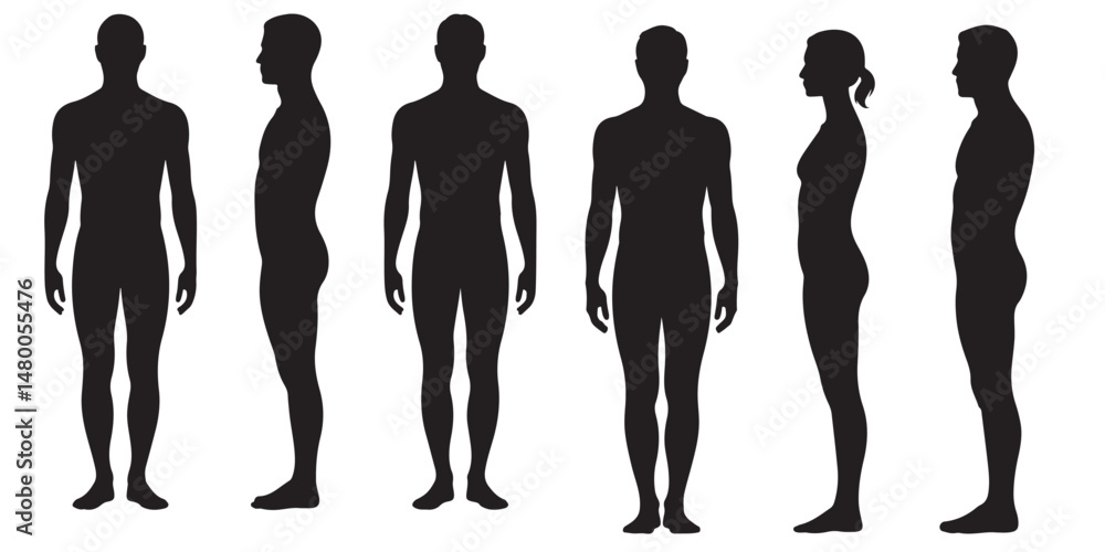 Vektor Male and Female Body Silhouettes Front and Side Views, Male ...