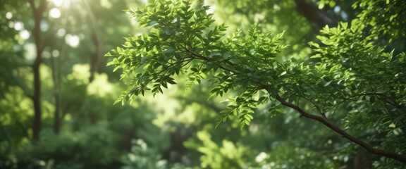 Wall Mural - Blurred green foliage, dappled sunlight, soft focus, lush texture,  muted,  nature,  tone