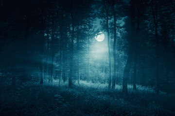 Wall Mural - full moon in dark scary woods, halloween night landscape
