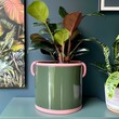 © Shehroo Time - Green Planter with Pink Handles and Lush Plant