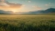 © iting - Vast golden wheat field at sunset, with mountains in the distance.  Sunrise hues paint the sky