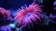 © CamBot - Vibrant pink sea anemone underwater closeup macro photography