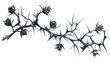 © Nathan - Dark and intricate black rose branch with imposing thorns, creating a striking visual contrast.