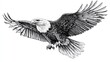 © Serhii - Elegant Eagle Sketch. Detailed Black and White Illustration of an Isolated Eagle in Engraved Style