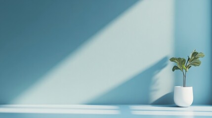 Aufkleber - Minimalist room interior with plant, sunlight on light blue wall.