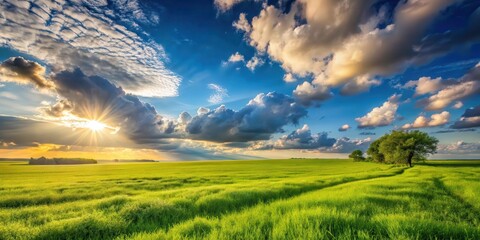 Wall Mural - serene sunset over lush green field with dramatic cloudscape and silhouetted trees