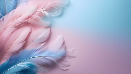 Aufkleber - pink, blue feathers background with copy space