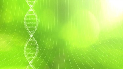 Poster - 3d artistic dna chain rotation on loop sunny green nature bokeh background. concept science animatio