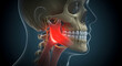© Aksaka - Temporomandibular Joint (TMJ) Pain and Anatomy