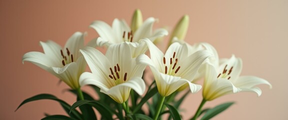 Poster - Elegant White Lilies Blossom in Soft Light, Delicate Petals and Stamens Stand Out, Floral Beauty for Nature-Inspired Designs