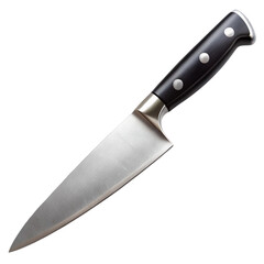 Stainless steel kitchen knife with black handle