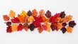 © Arfa_Media - A colorful arrangement of autumn leaves in shades of red, orange, yellow, and brown on a white background.