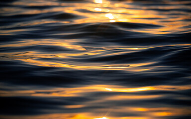 Wall Mural - water surface with sunlight reflected on it.
