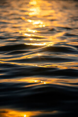 Wall Mural - water surface with sunlight reflected on it.
