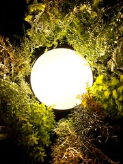Wall Mural - beautiful and serene glowing circle lamp surrounded by tropical plants