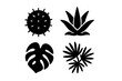 © Alan - Diverse plant silhouettes illustrating various leaf shapes and textures against a simple background