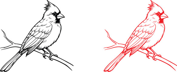 Cardinal bird on branch vector silhouette, Bird on a branch line art, Vector illustration