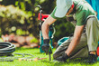 © Tomasz Zajda - Gardener Installing Irrigation System While Working on Green Lawn in Sunny Backyard During Daytime Hours