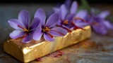 Purple saffron crocus blooms on gold bar with delicate petals and stigmas
