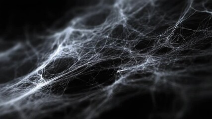 Wall Mural - abstract web of connections: explore a captivating web of delicate strands, intertwining to form a c