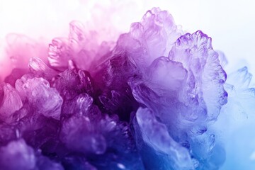 Wall Mural - Close-up of vibrant purple and blue ice crystals, resembling abstract floral formations.