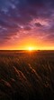 © John - Golden Hour Serenity: Sunset over Wheat Field