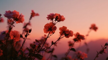 Poster - Hibiscus Flowers at Sunset With Warm Tones, Evoking Tranquility and Natural Beauty for Wellness Content and Seasonal Greetings : Generative AI