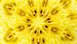 © INT888 - Close up of yellow fruit with seed patterns vibrant and fresh appearance detailed texture juicy interior natural food healthy snack tropical fruit bright color organic produce seed cavity fresh