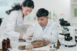 © chokniti - Geological researcher classifying rock and mineral samples in laboratory setting, focusing on earth science, field analysis, natural resource exploration through hands-on investigation