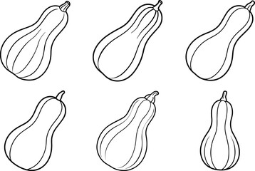 Set of butternut squash vegetable black outline vector and illustration, coloring book page